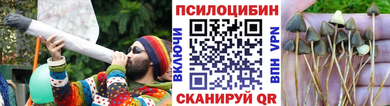 Псилоцибиновые грибы прущие грибы  как найти закладки  Ртищево 